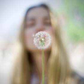 Les allergies sont de retour